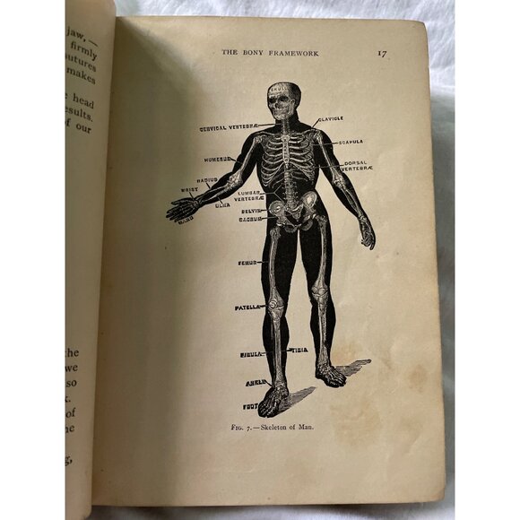 How To Keep Well By Albert F. Blaisdell Hardcover Book 1890 Ginn & Company Colle - Picture 15 of 16